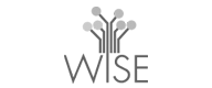 Wise &amp; CustoM 2.0