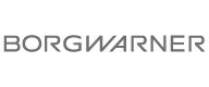BorgWarner & CustoM 2.0